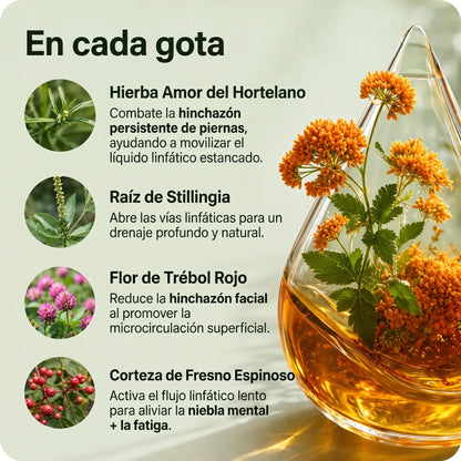 Drenaje Linfatico Myravella — Gotas Naturales